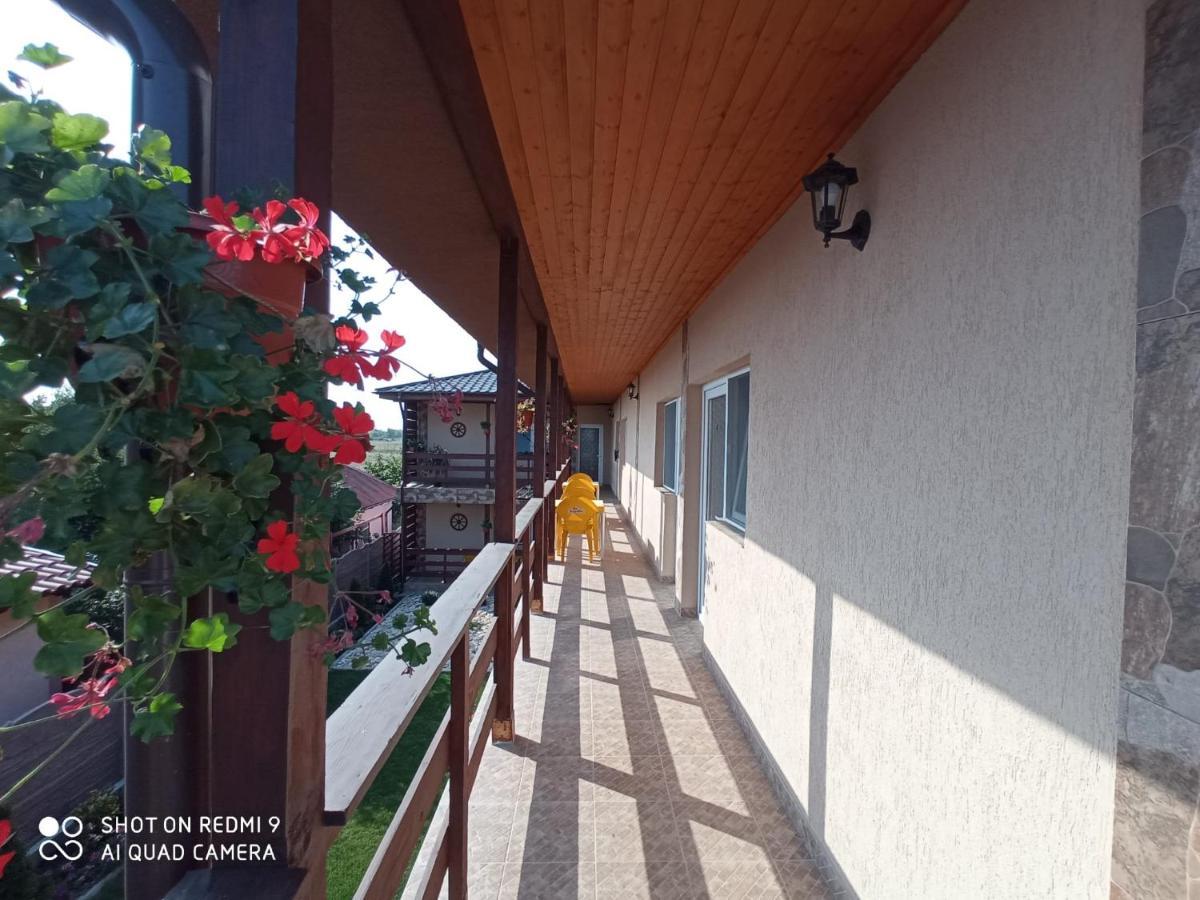 Casa Olimpia 2 Mai Otel Dış mekan fotoğraf